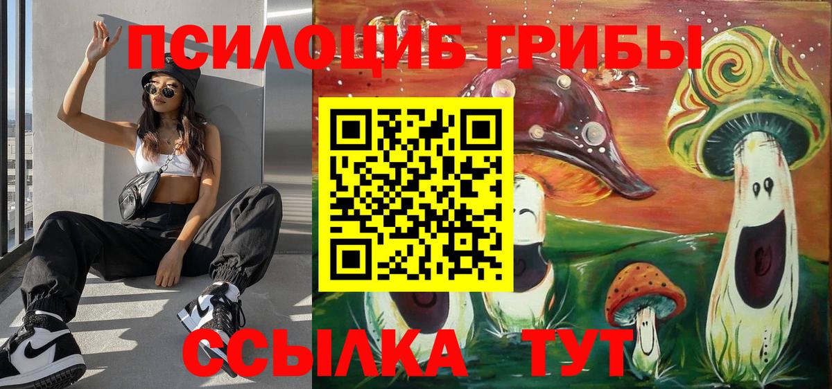 Галлюциногенные грибы мицелий Карасук