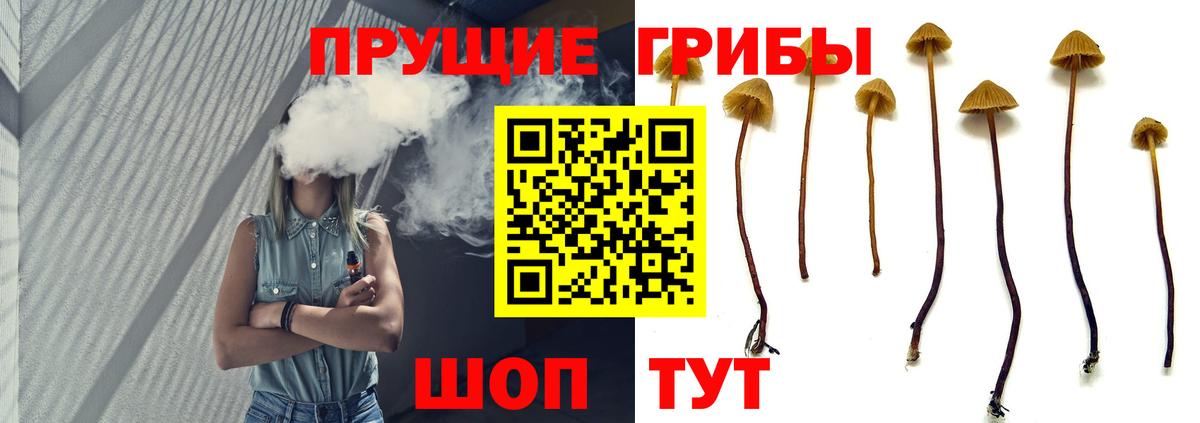 Галлюциногенные грибы прущие грибы  Вход с VPN  Галлюциногенные грибы Magic Shrooms  Карасук 